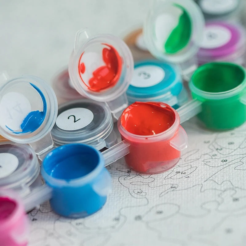 🎨 Kit de peinture par numéros personnalisé