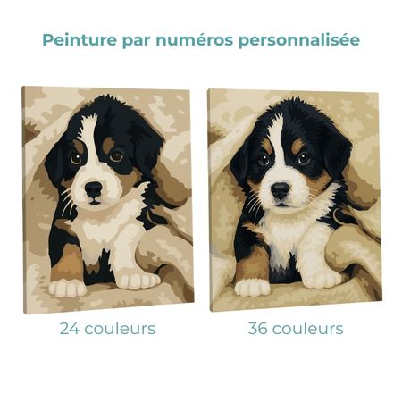 🎨 Kit de peinture par numéros personnalisé